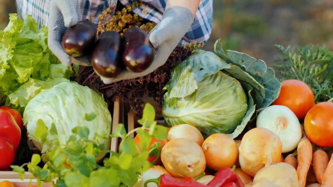 Stiles Farmers Market Wholesale & Retail