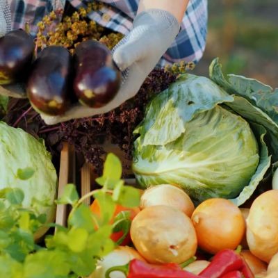 stilesfarmersmarket